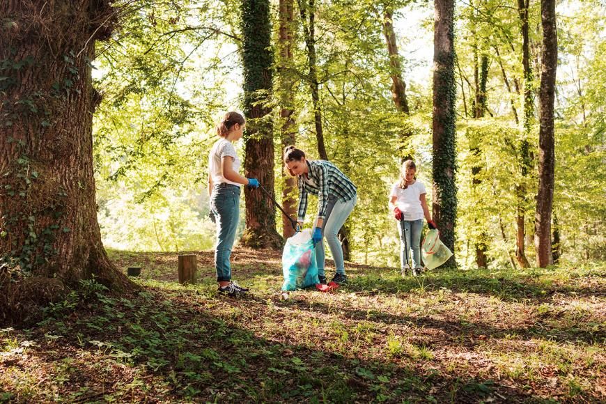 Programa &ldquo;Voluntariado Jovem para a Natureza e Florestas&rdquo;