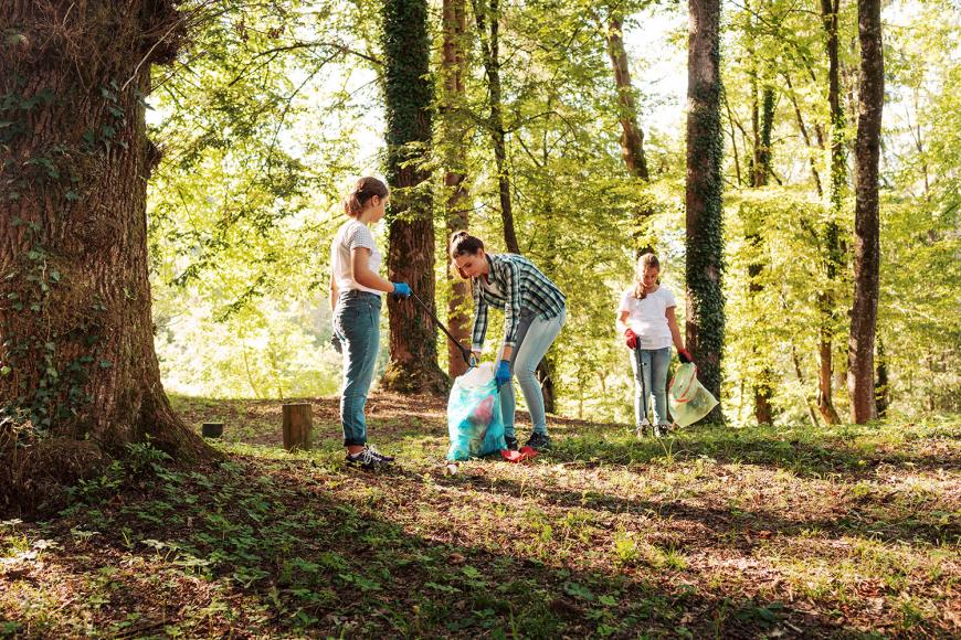 Programa &ldquo;Voluntariado Jovem para a Natureza e Florestas&rdquo;