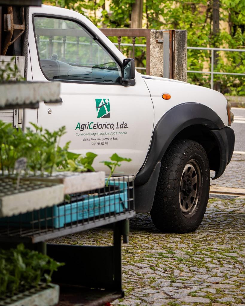 Avifafe - Agricelorico, Lda